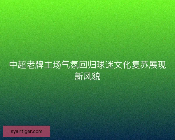 中超老牌主场气氛回归球迷文化复苏展现新风貌