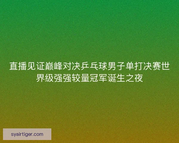 直播见证巅峰对决乒乓球男子单打决赛世界级强强较量冠军诞生之夜